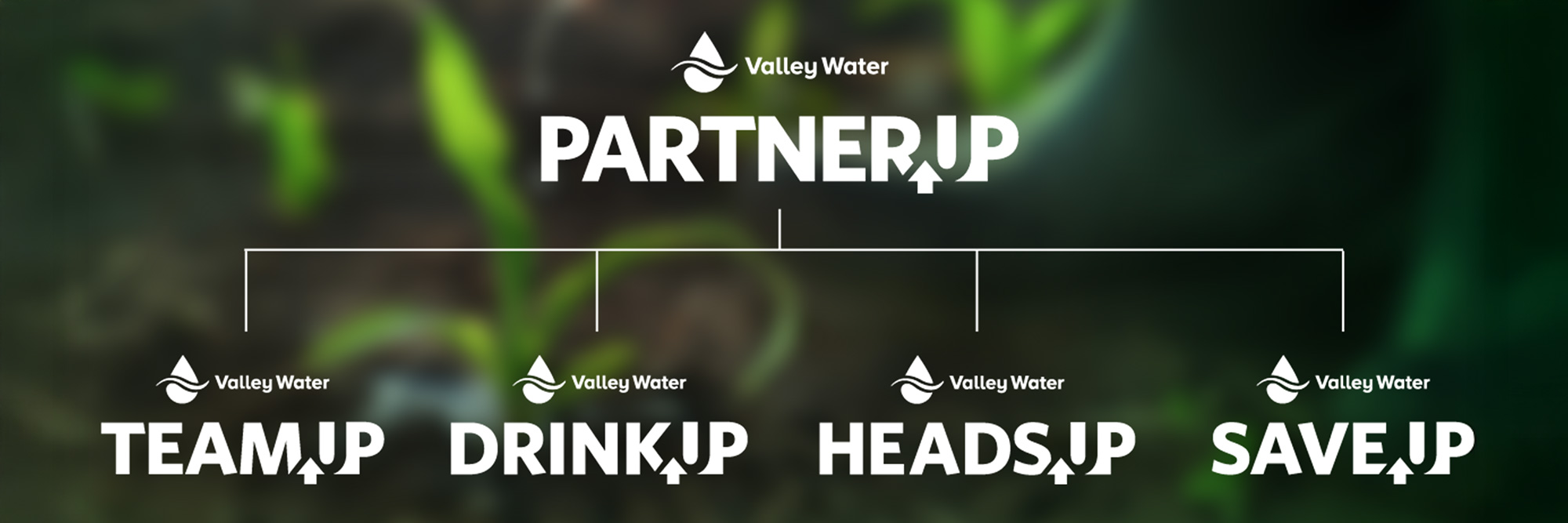 2-Work-Grid-full-width-2000×667