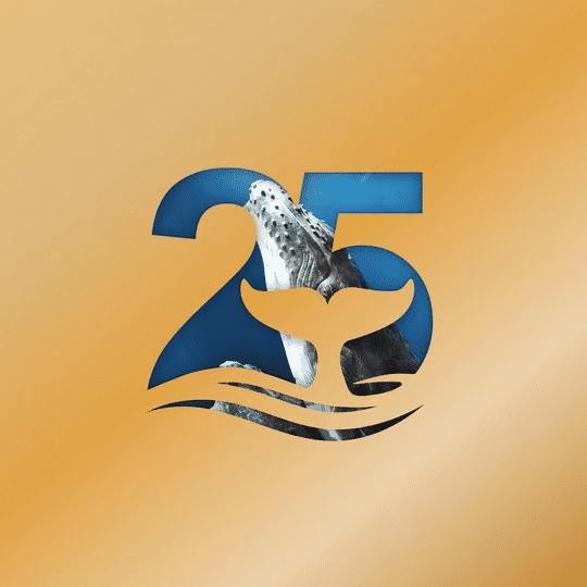 LM-CCC-WhaleTail-ad-1080×1080-C2b-Alt-high