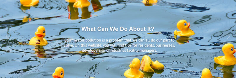 City of San Diego Think Blue Stormwater pollution prevention banner by LOMA creative team